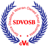 CVE - SDVOSB